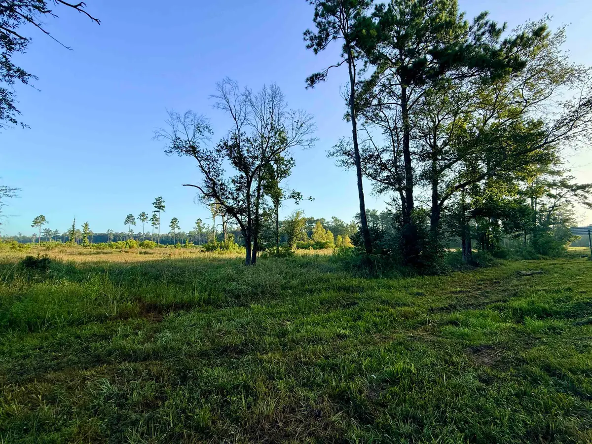 000 FM 1003, Kountze, TX 77625 - #1