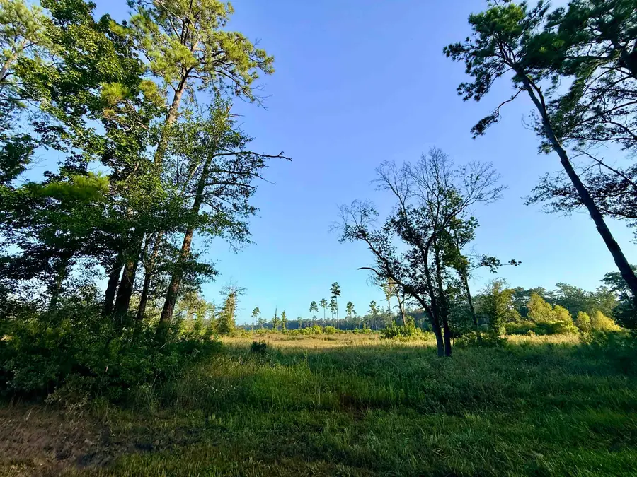 000 FM 1003, Kountze, TX 77625 - #2