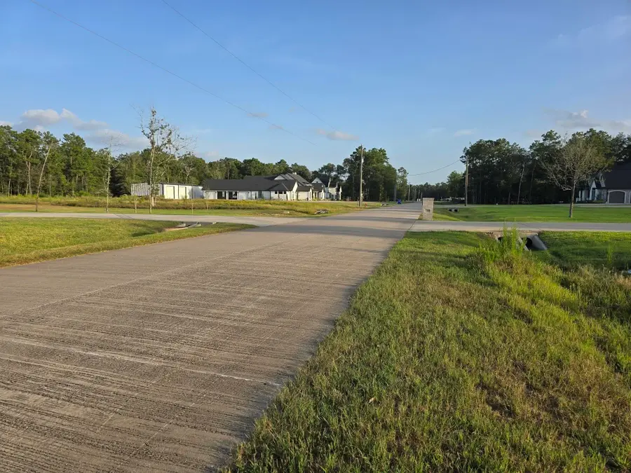 11250 Baldwin Court, Lumberton, TX 77657 - #2