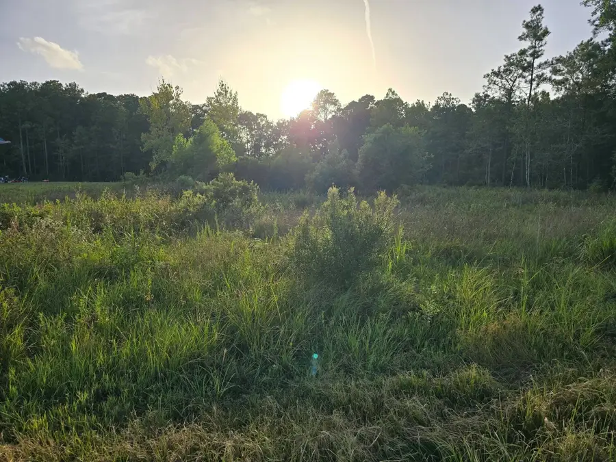 11250 Baldwin Court, Lumberton, TX 77657 - #3