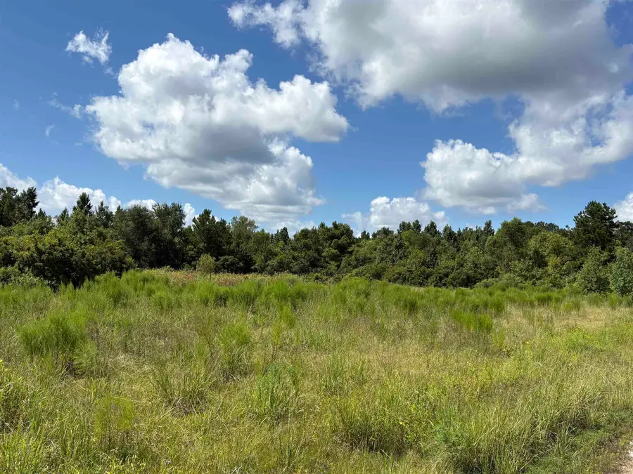 000 PR 8147, Buna, TX 77612 - #2
