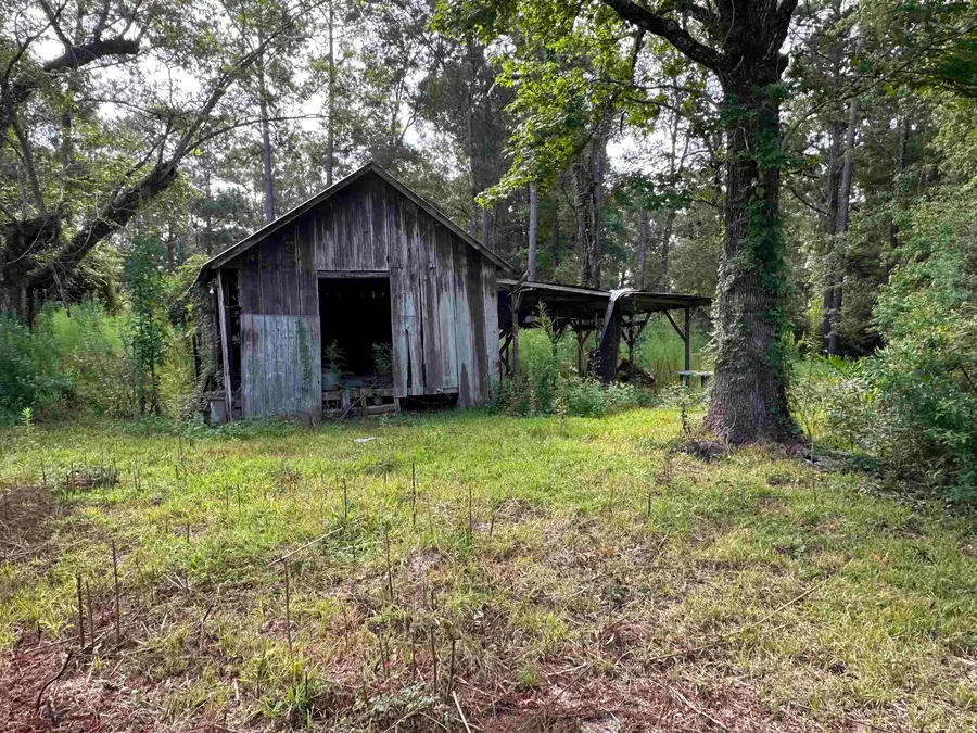 1180 County Road 4203, Orange, TX 77632 - #3