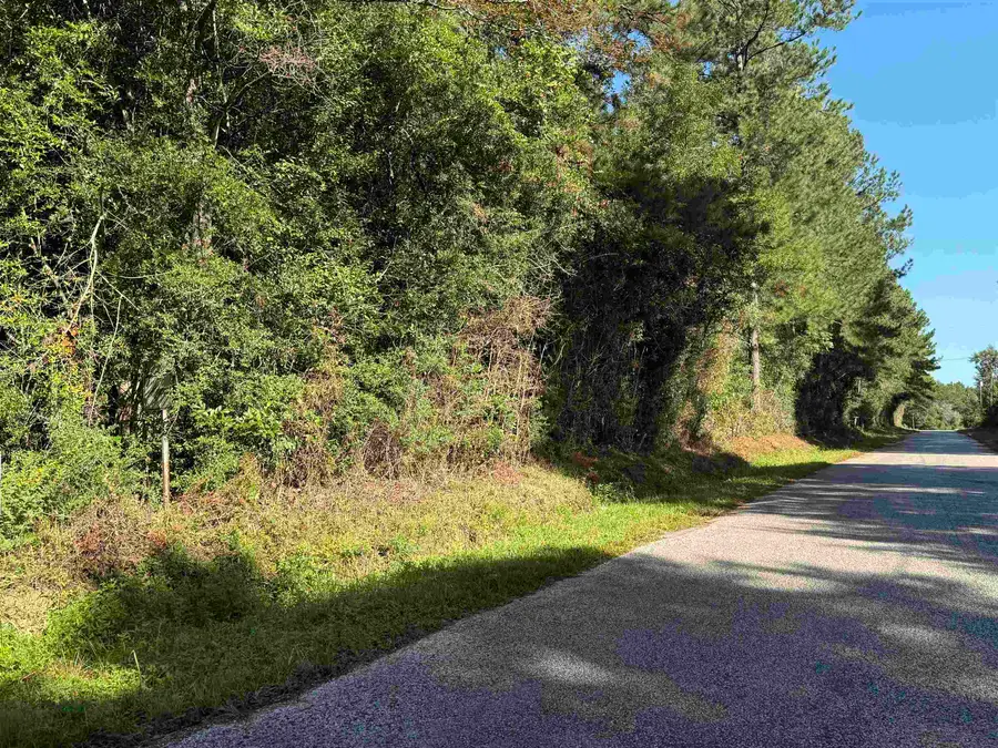 00 County Road 616, Buna, TX 77612 - #2