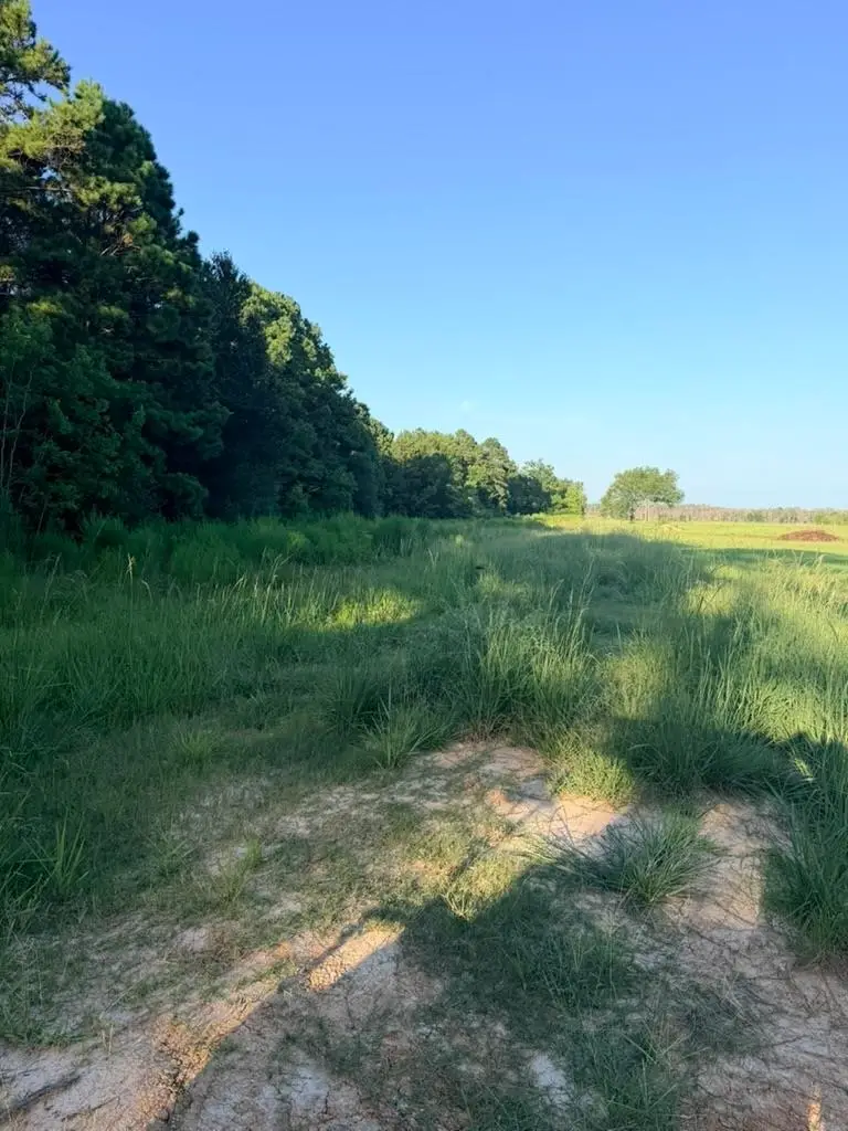 000 County Road 3114, Buna, TX 77612 - #1
