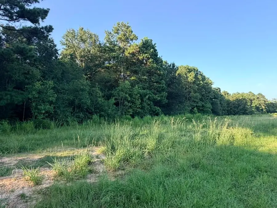 000 County Road 3114, Buna, TX 77612 - #2