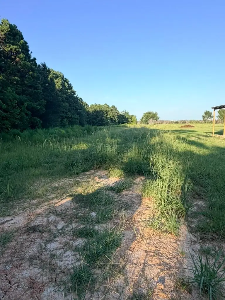 000 County Road 3114, Buna, TX 77612 - #3