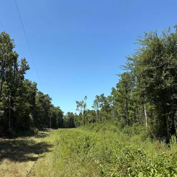 001 FM 1005, Jasper, TX 75951