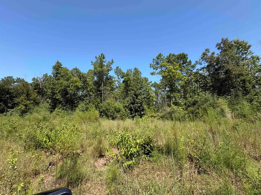 001 FM 1005, Jasper, TX 75951 - #2