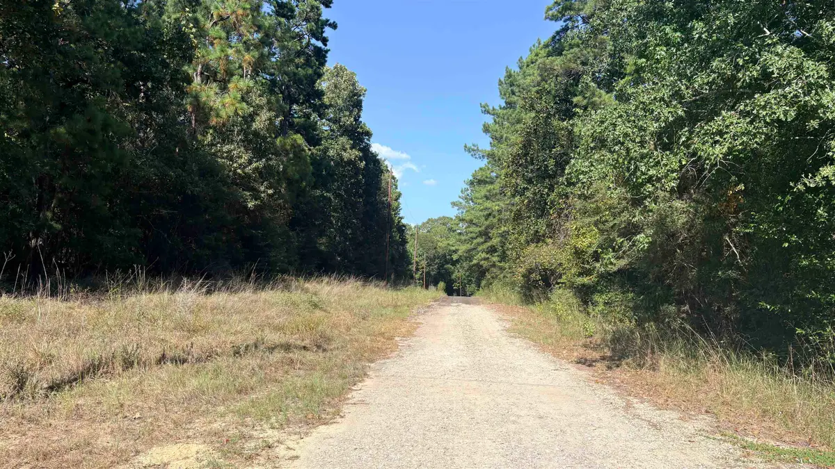 Lot 28&29 25th st, Woodville, TX 75979 - #1