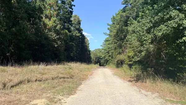 Lot 28&29 25th st, Woodville, TX 75979