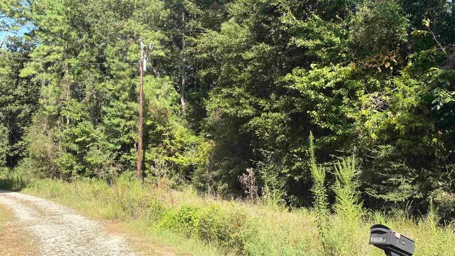 Lot 28&29 25th st, Woodville, TX 75979 - #2
