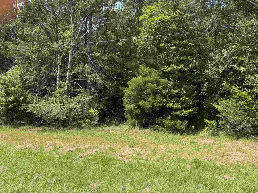 9200 Bear Creek Drive, Kountze, TX 77625 - #2