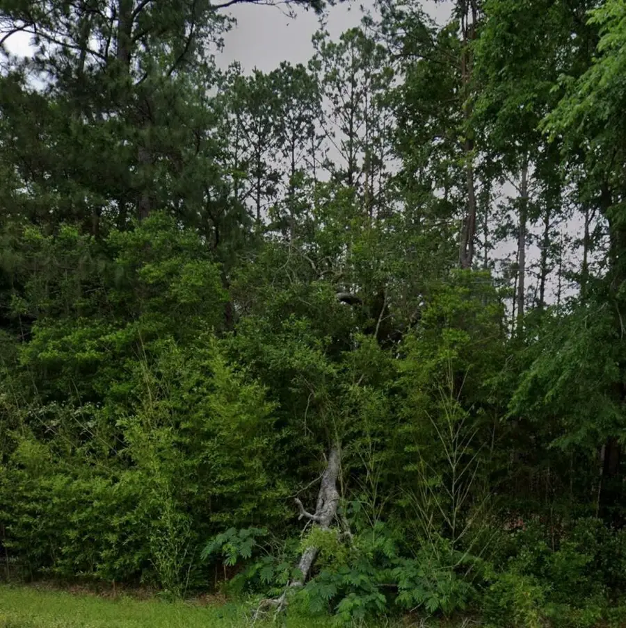 .44 AC FM 3414, Jasper, TX 75951 - #3