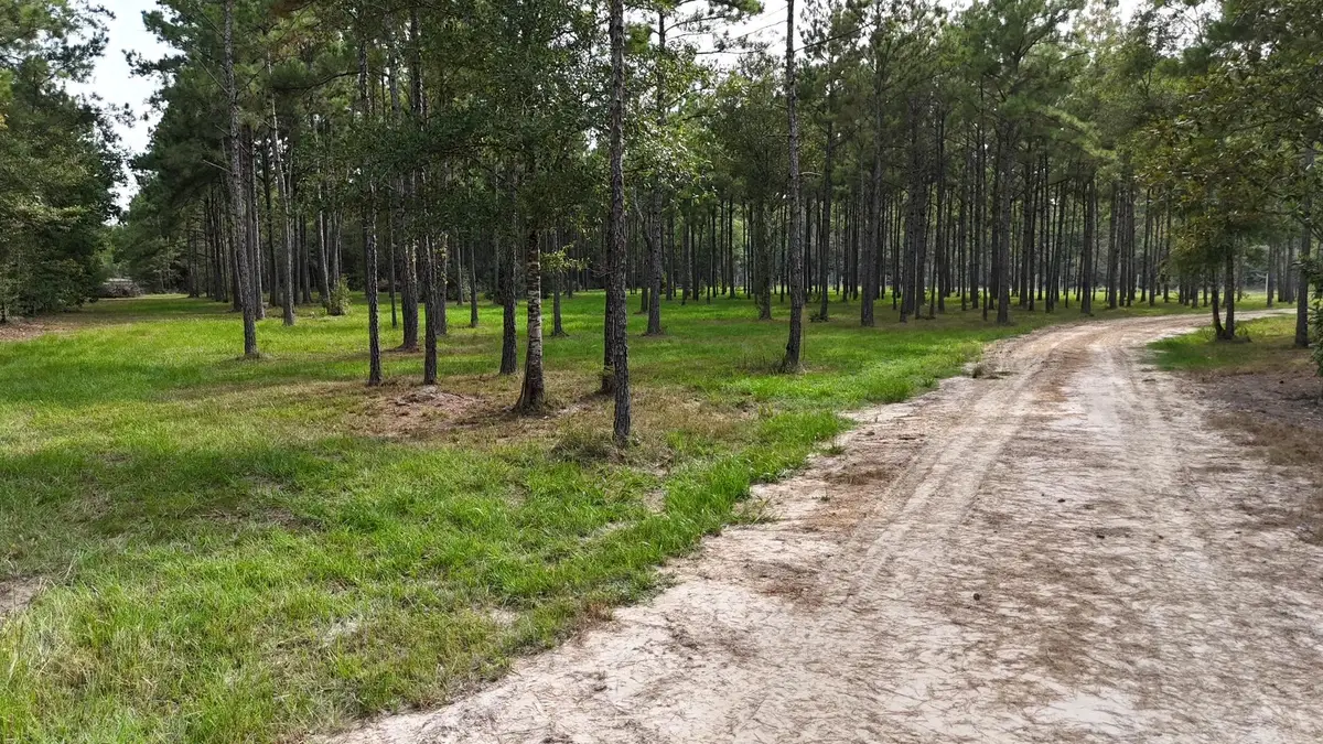 1555 County Road 716, Buna, TX 77612 - #1