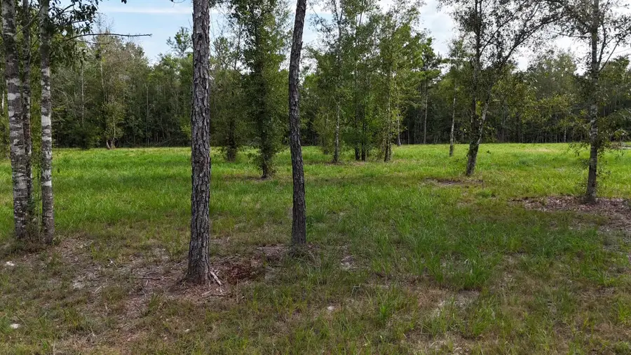 1555 County Road 716, Buna, TX 77612 - #3