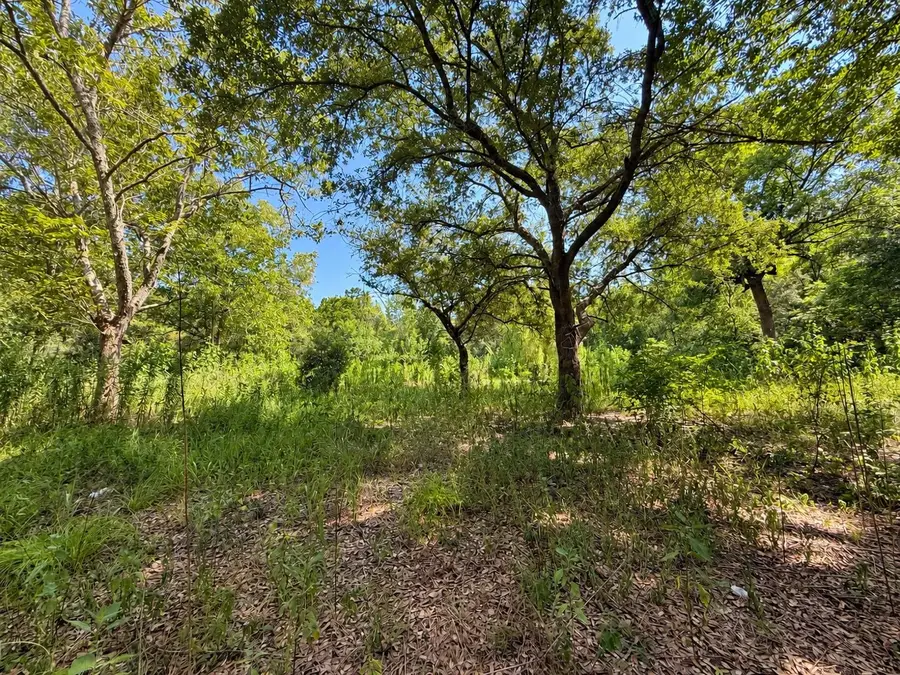 6630 Frint, Beaumont, TX 77705 - #3