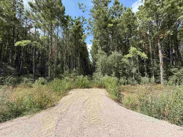 5700 Black Cat, Sour Lake, TX 77659