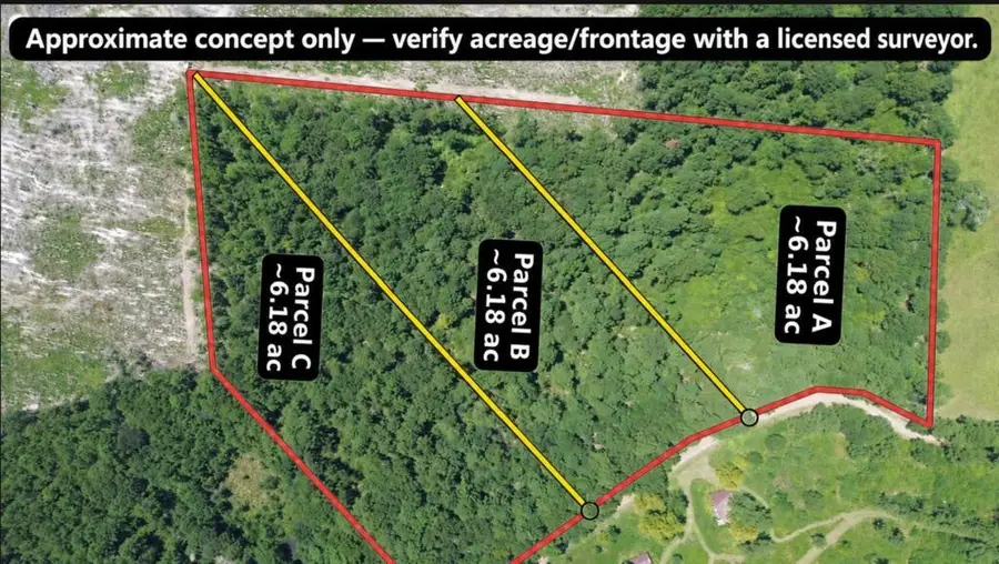 16.53AC County Road 3103, Call, TX 75933 - #2