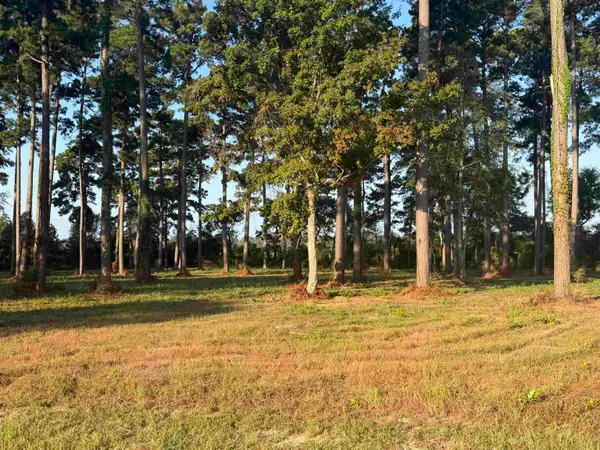 863 County Road 173, Jasper, TX 75951