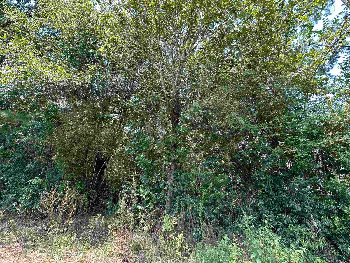 Lot 4 Oleander, Lumberton, TX 77657 - #1