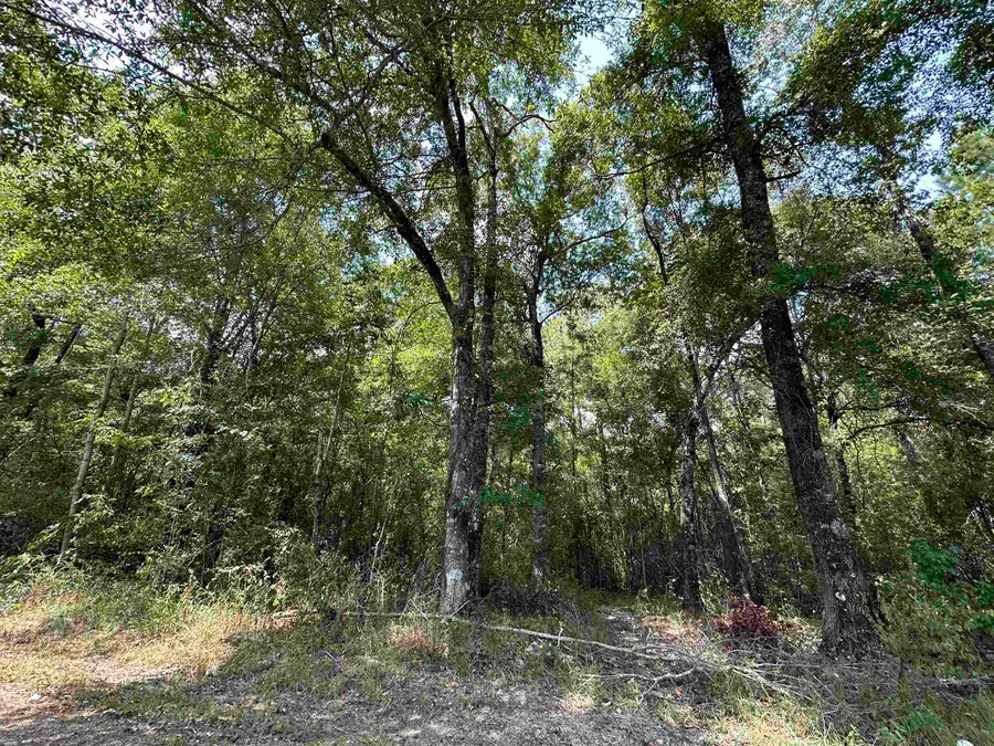 Lot 4 Oleander, Lumberton, TX 77657 - #2