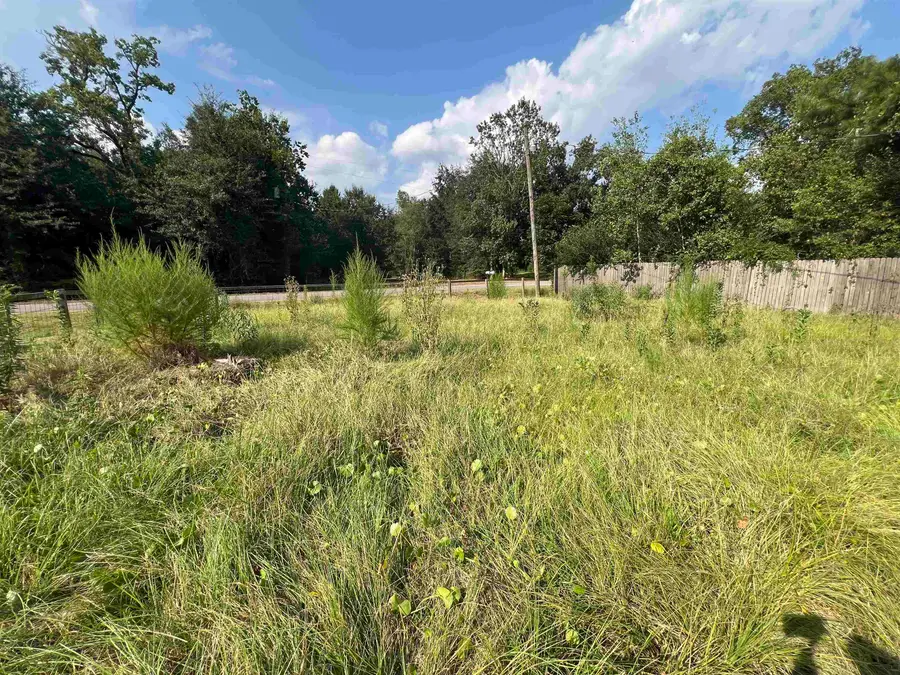855 Goliad, Vidor, TX 77662 - #3
