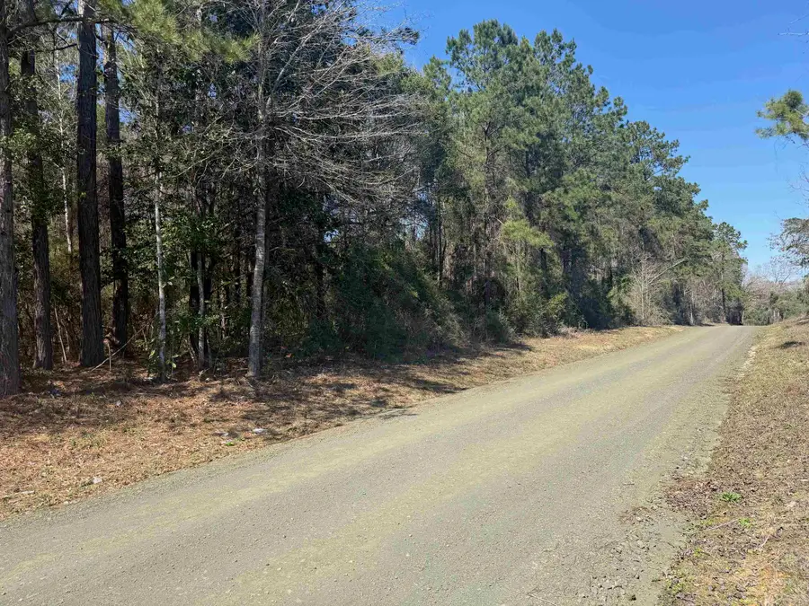 236 COUNTY ROAD 4583, Spurger, TX 77660 - #3
