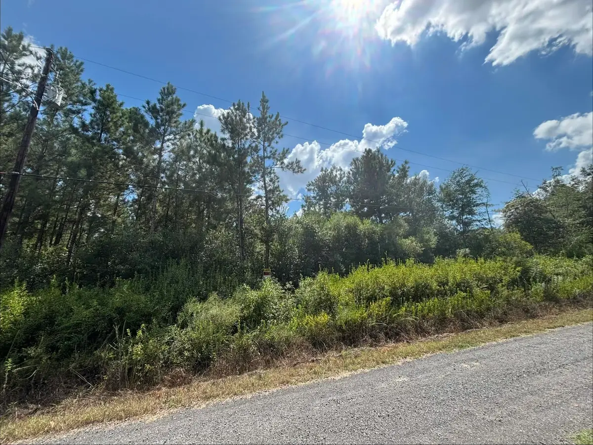 TBD Magnolia Ln, Buna, TX 77612 - #1