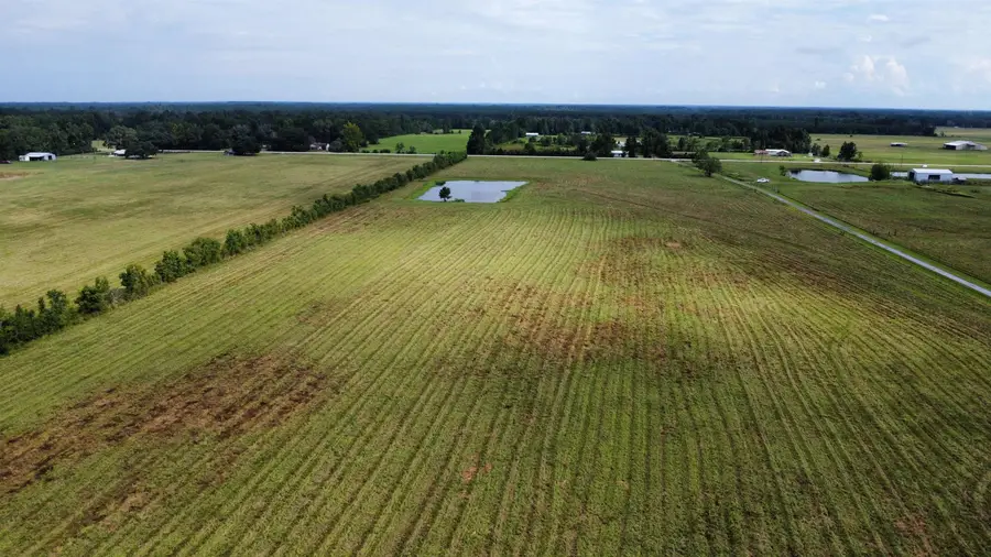 Tract 1 W FM 82, Kirbyville, TX 75956 - #2