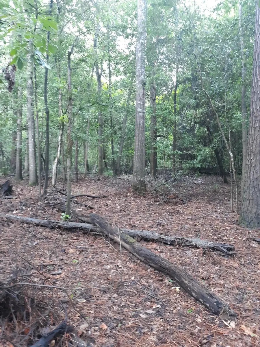 7387 River Bend Drive, Bevil Oaks, TX 77713 - #2