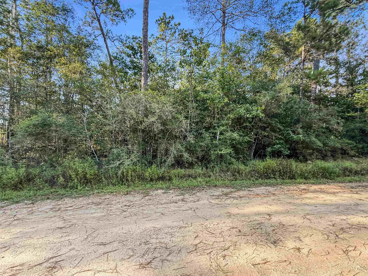 140 Private Road 5172, Kirbyville, TX 75956 - #1