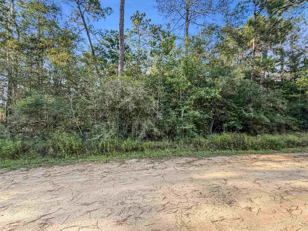 140 Private Road 5172, Kirbyville, TX 75956