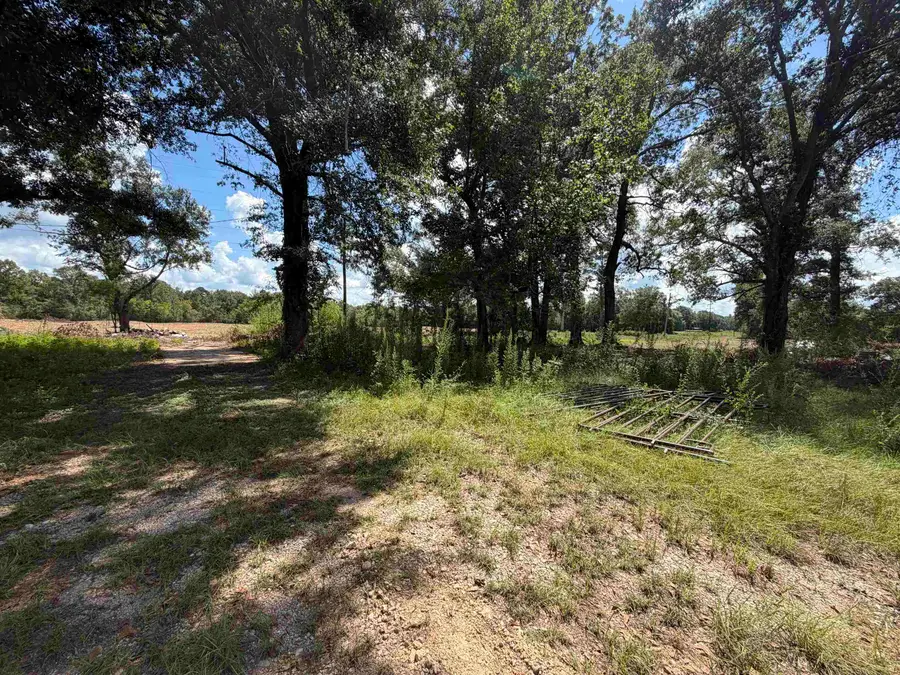 1575 Highway 96 S, San Augustine, TX 75972 - #2