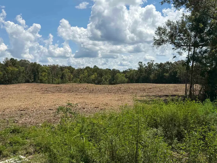 1575 Highway 96 S, San Augustine, TX 75972 - #3