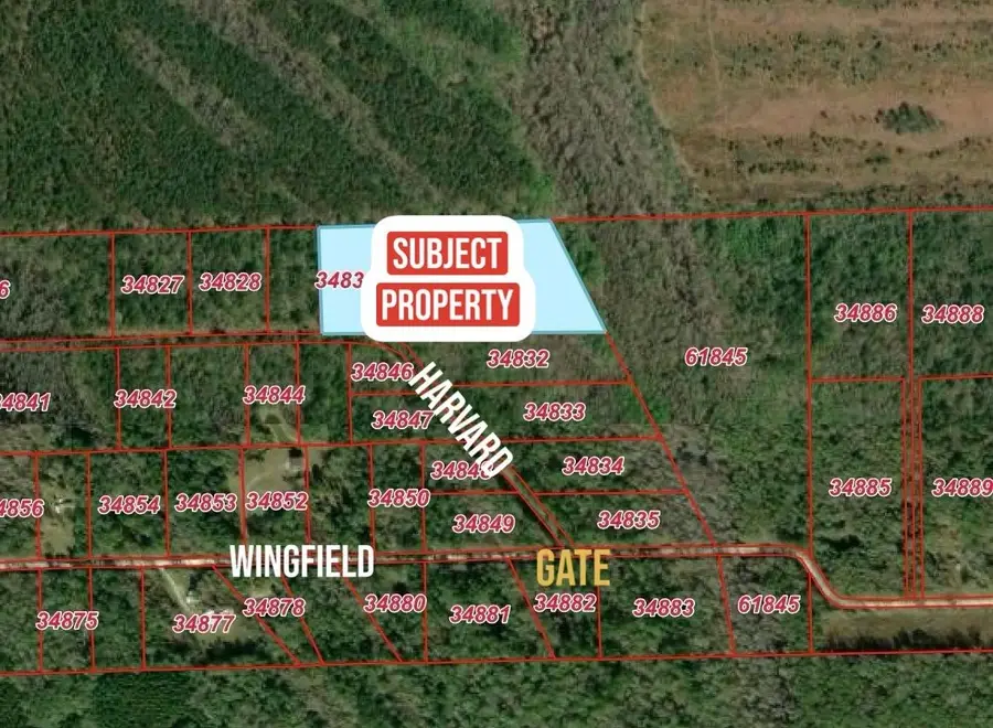 TBD Harvard Drive, Lumberton, TX 77657 - #3
