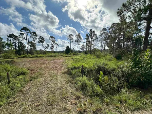 6650 Burrell Trail, Kountze, TX 77625