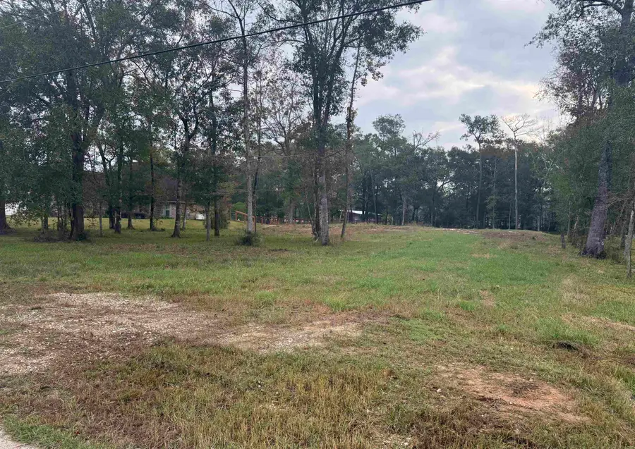 330 Talpa Trail, Lumberton, TX 77657 - #2