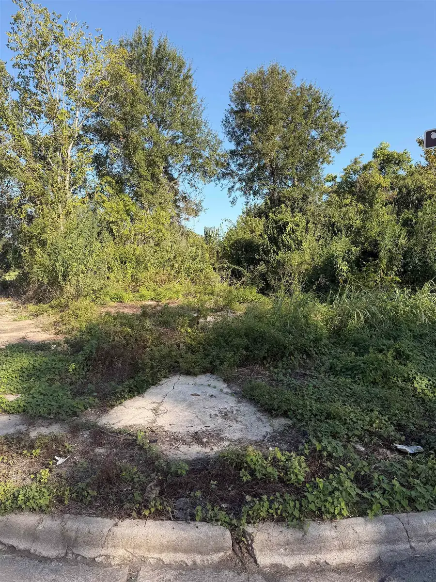 1018 3 ST, Orange, TX 77630 - #2