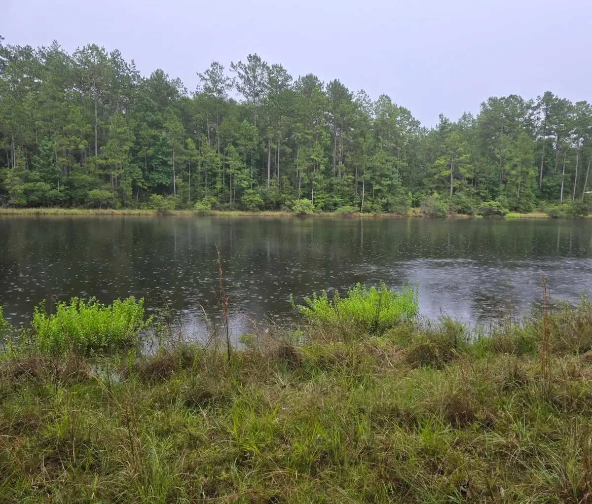 0000 White Poplar Drive, Village Mills, TX 77663 - #1