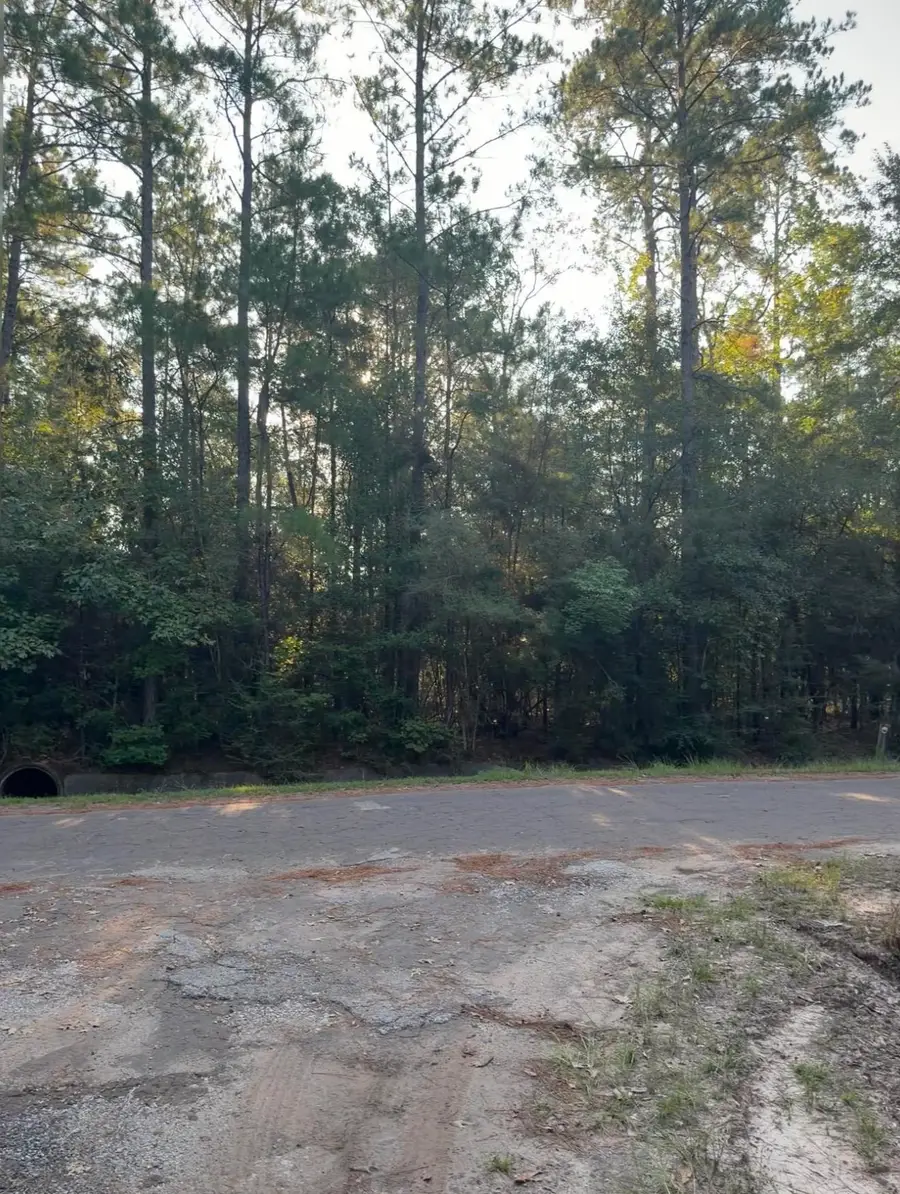 0000 White Poplar Drive, Village Mills, TX 77663 - #2