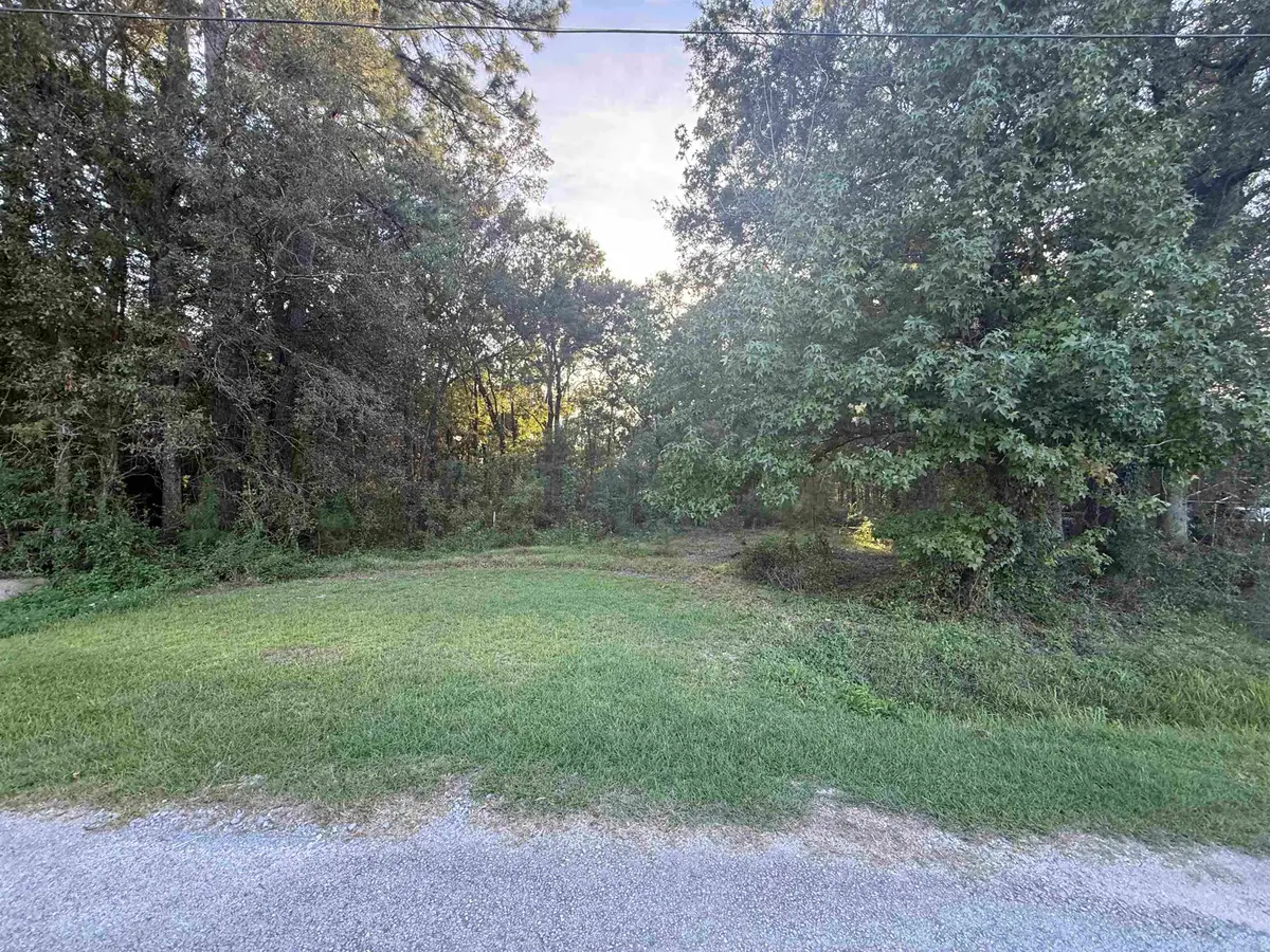 0 Pinegrove, Vidor, TX 77662 - #1