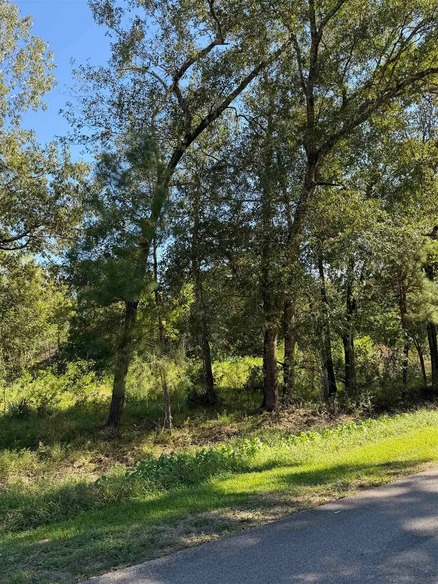 351 Pinehurst, Sour Lake, TX 77659 - #2