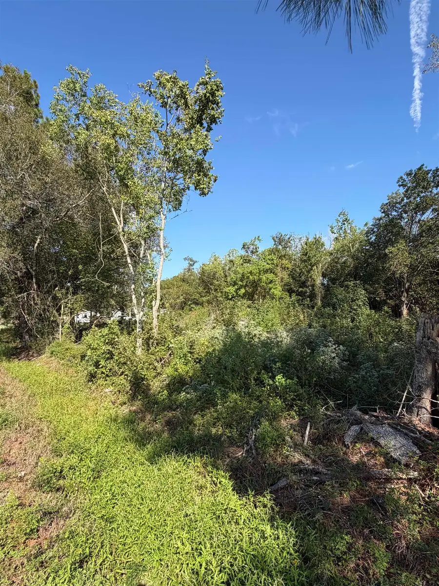 351 Pinehurst, Sour Lake, TX 77659 - #3