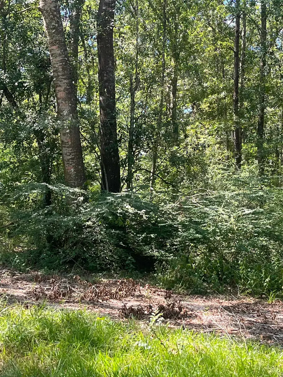 4314 Hwy 69, Kountze, TX 77625 - #3