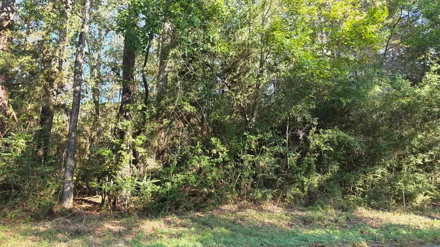228 Co Rd 746, Buna, TX 77612 - #2