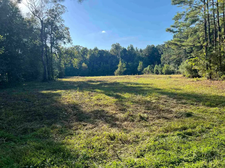 000 Alma Drive, Lumberton, TX 77657 - #2