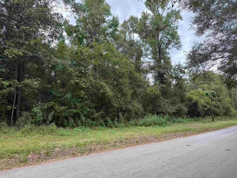 000 Four Oaks Ranch Rd, Vidor, TX 77662 - #3