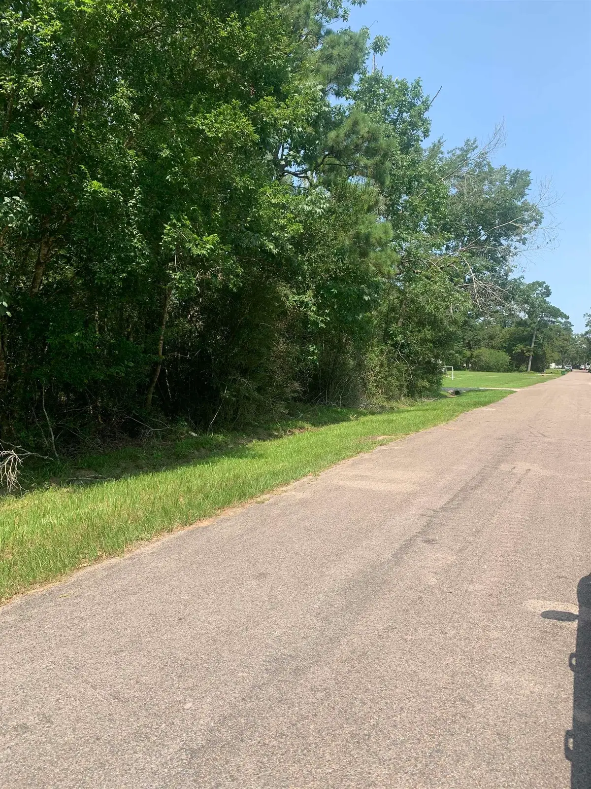 350 Pinehurst, Sour Lake, TX 77659-9999 - #1