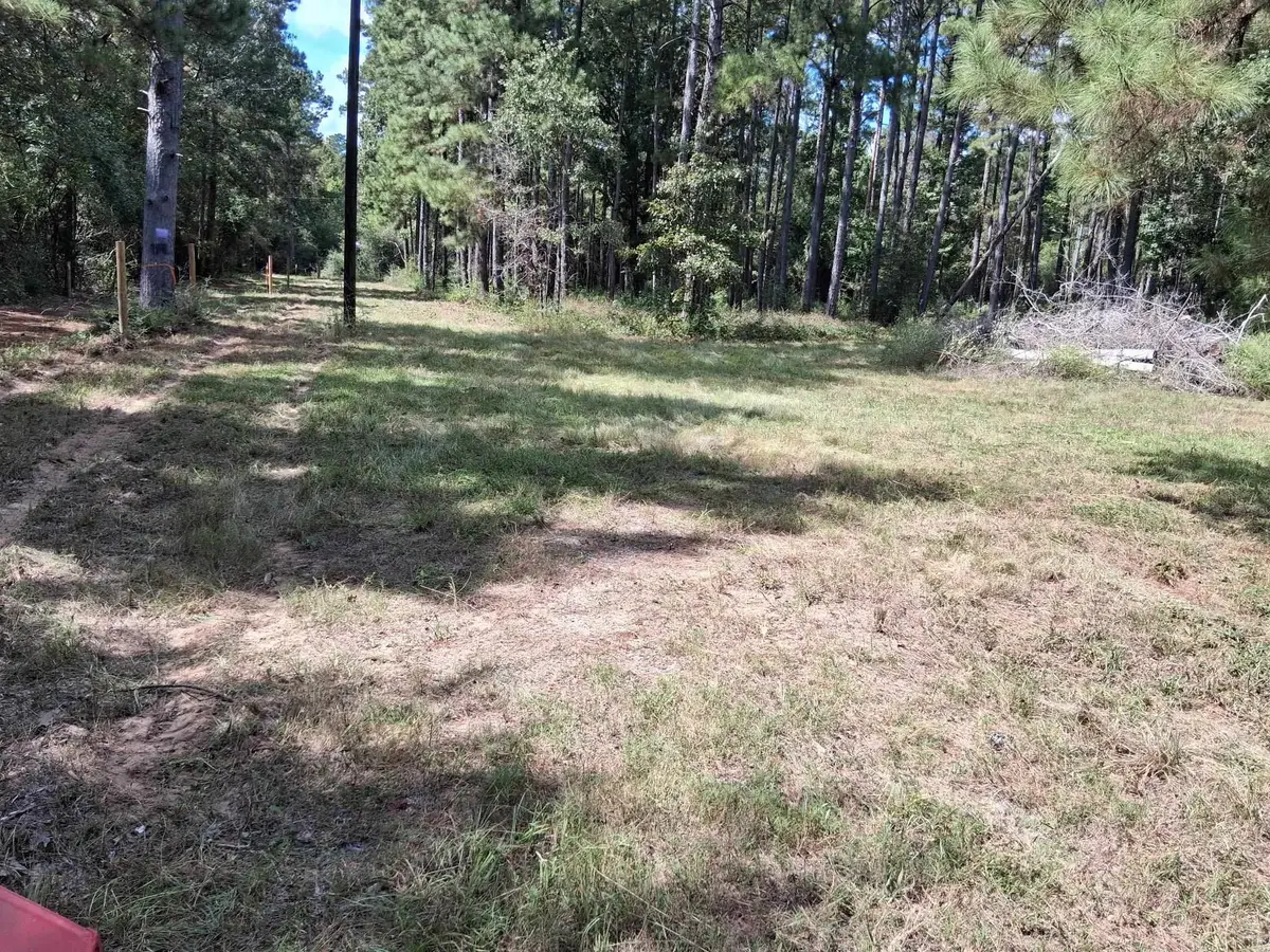 140 PRIVATE RD 8061, Call, TX 75933 - #1