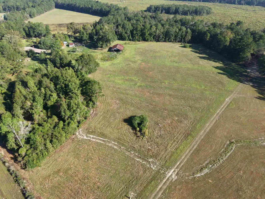 14705 FM 252, Kirbyville, TX 75956-4324 - #3